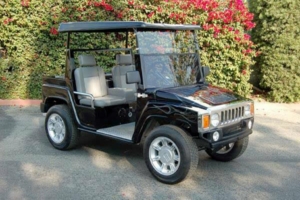 affordable golf cart rental, golf cart rent costa mesa